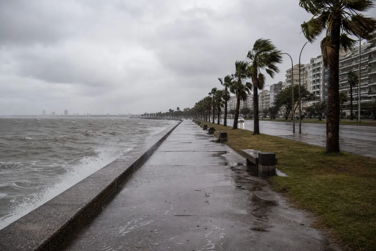 Rambla de Montevideo con viento y lluvia suave
